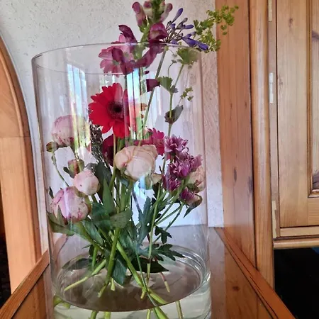 Hutter Gmbh 4* Katschberghöhe