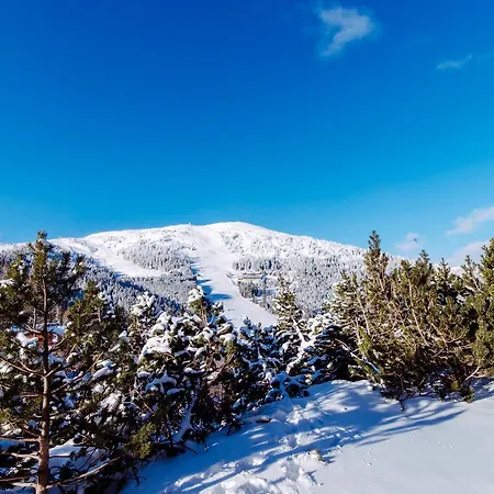 Hutter Gmbh Hotel apartamentowy