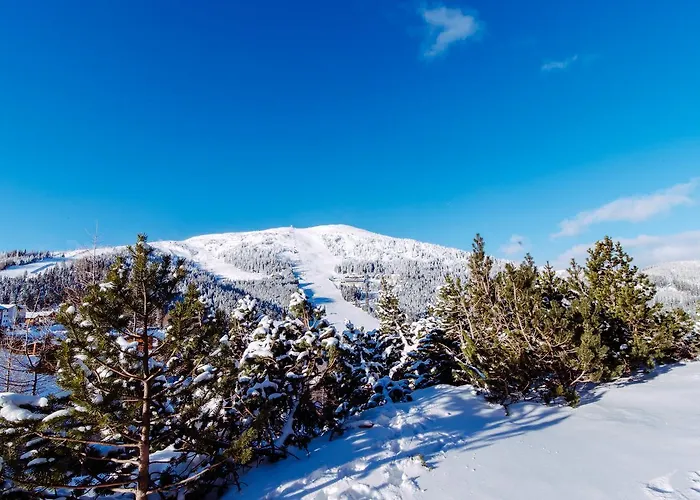 Hutter Gmbh Aparthotel