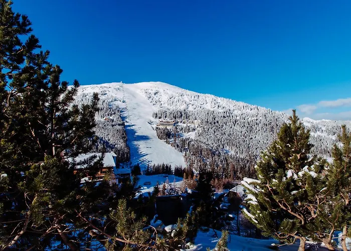 Aparthotel Hutter Gmbh Katschberghohe